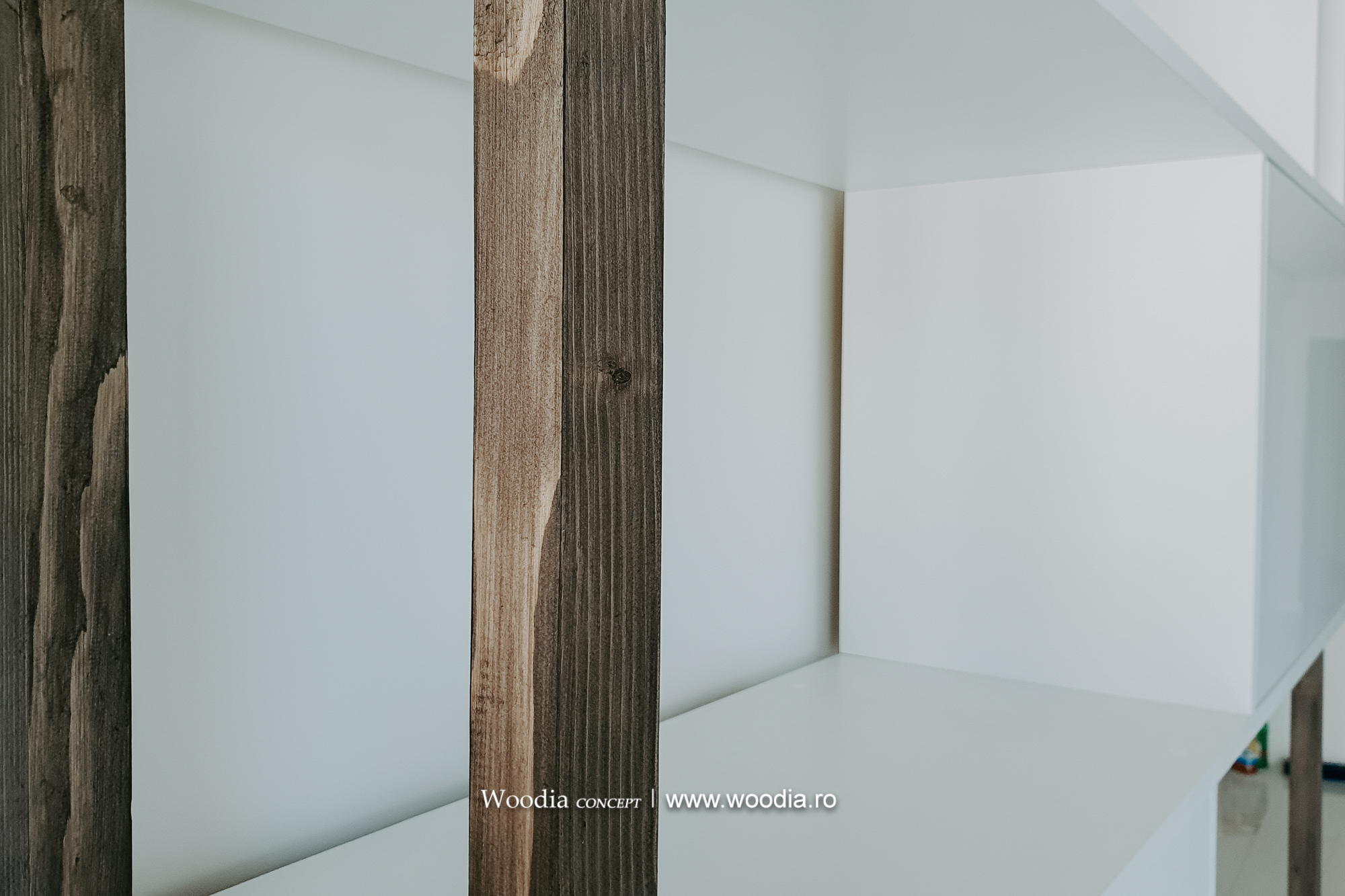 bibilioteca_baia_mare3