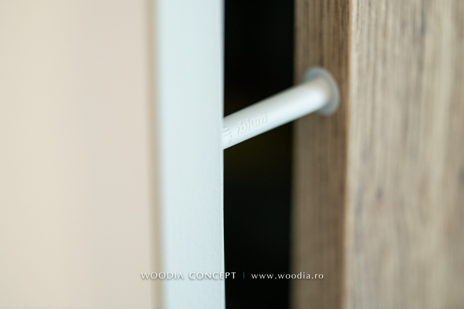 mobilier_la_comanda_woodia_concept_baia_mare0027